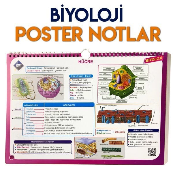 KR Akademi TYT Biyoloji Poster Notlar